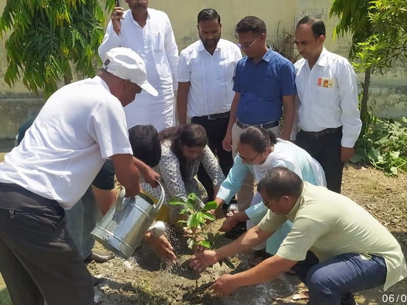 Tree plantation under ‘Ek Ped Maa Ke Naam’